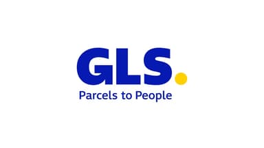 Delivery network logo